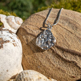 Sea Kelp pendant