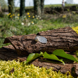 Small Blackberry leaf & blackberry
