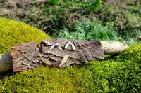 Sycamore seeds